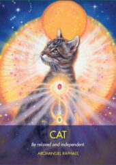 card-29